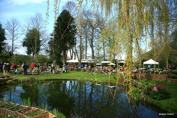 Exposition florale